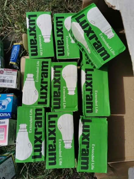 Photo of free Variety of light bulbs (Mitcham Eastfields CR4) #1