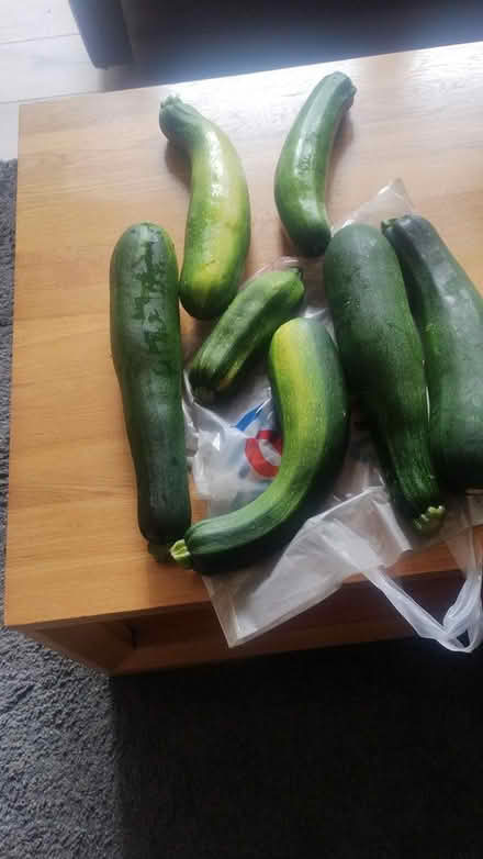 Photo of free Freshly picked courgettes (Orpington) #1