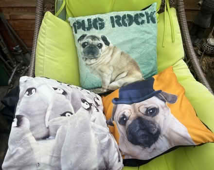 Photo of free Cushions (Woodside CR0) #1