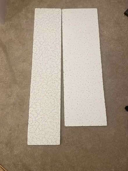 Photo of free Pieces of cieling tile (Meadowvale, Mississauga) #1