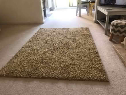 Photo of free Rug (Winkfield Row RG42) #1