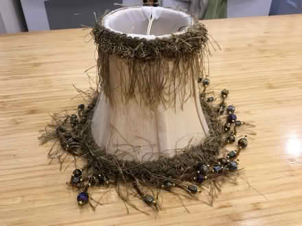 Photo of free Cute Bombay Co. Light Shade (Hintonburg) #1