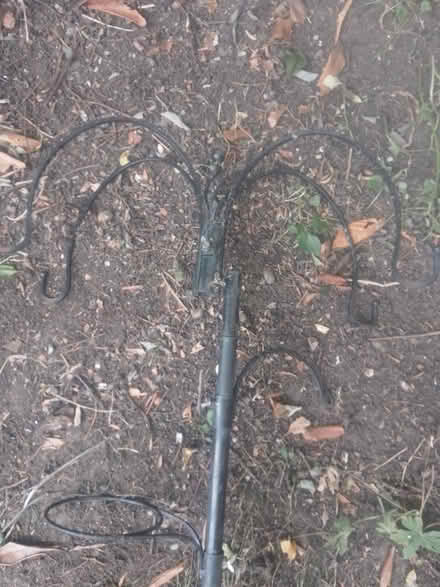 Photo of free Bird feeder station (IP2) #1