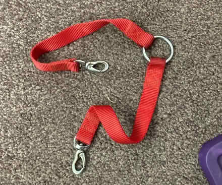 Photo of free Dog leads (Chelmsford CM2) #3