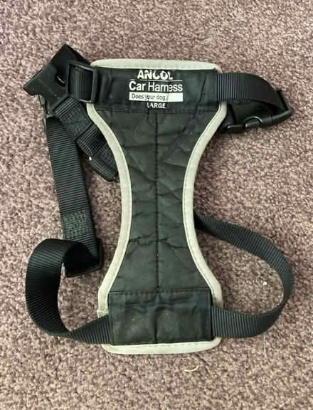 Photo of free Dog car harness (Chelmsford CM2) #2