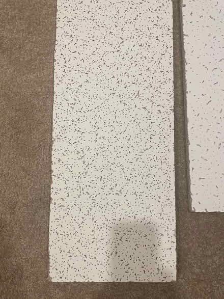 Photo of free Pieces of cieling tile (Meadowvale, Mississauga) #2