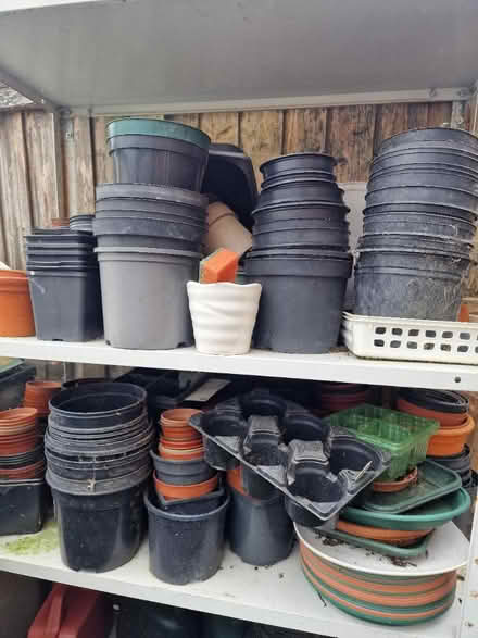 Photo of free Plastic flower pots (Hailsham) #1