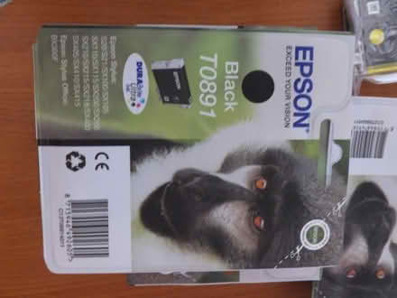 Photo of free Epson Printer Cartridges (Highworth SN6) #2