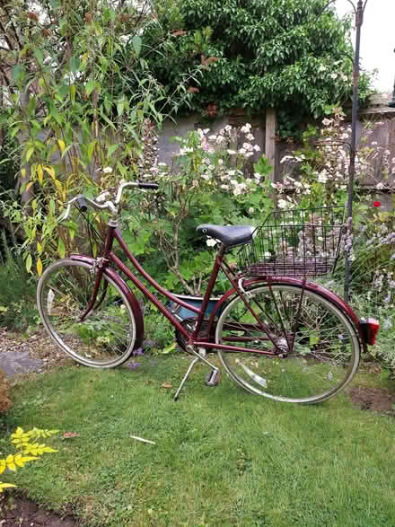 Photo of free Ladies raleigh bicycle (Lye Valley OX3) #1