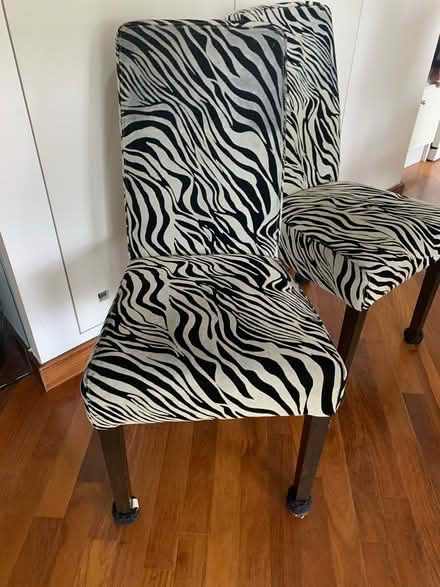 Photo of free Two zebra print dining chairs (Richmond TW10) #2