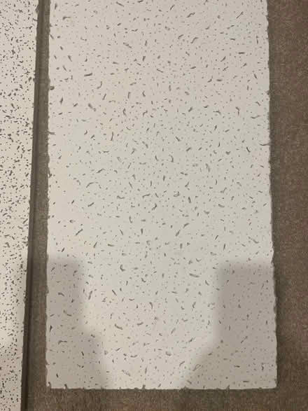 Photo of free Pieces of cieling tile (Meadowvale, Mississauga) #3