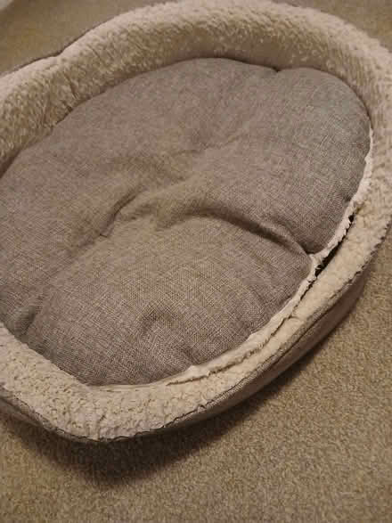 Photo of free Dog Bed Pets at home 62cm by 52cm (Arlesey SG15) #2