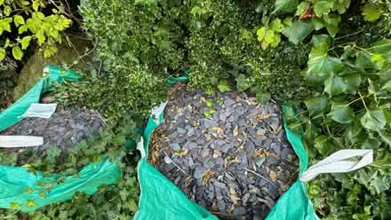 Photo of free Grey slate chippings (New Brighton CH45) #2