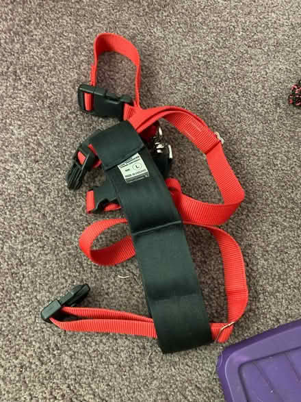 Photo of free Dog car harness (Chelmsford CM2) #1