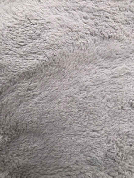 Photo of free Grey rug small (SG4 Hitchin) #2