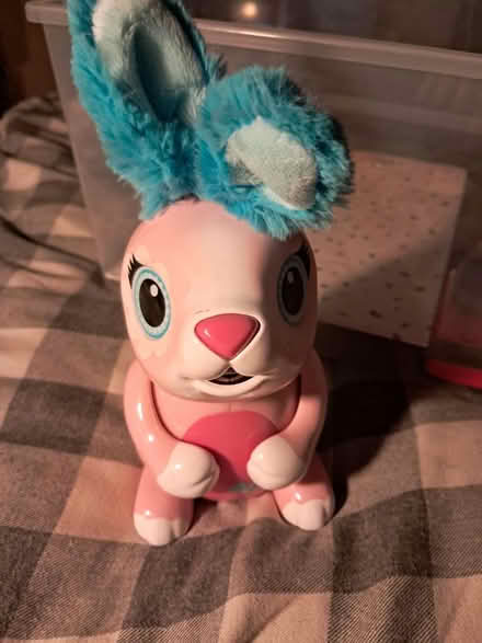 Photo of free Rabbit toy (DE24) #1