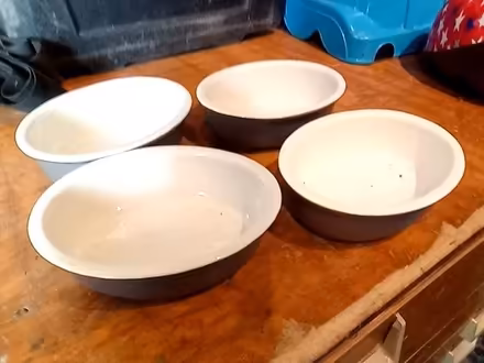 Photo of free Lasagne serving dishes (Prestatyn LL19) #1
