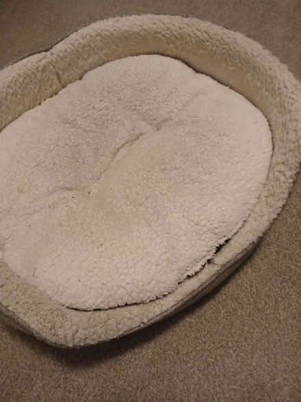 Photo of free Dog Bed Pets at home 62cm by 52cm (Arlesey SG15) #1