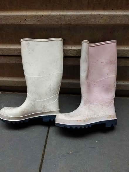 Photo of free Wellington boots, size 4 (CV37 Stratford upon Avon) #1