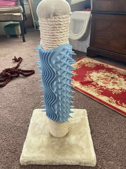 Photo of free Cat equipment (Chelmsford CM2) #1