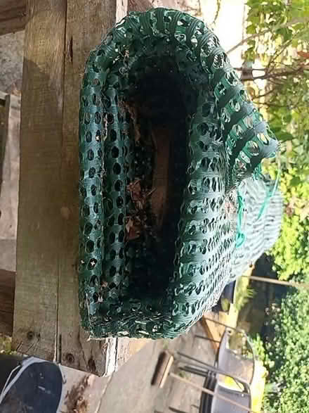 Photo of free Green plastic mesh (Simmondley SK13) #2