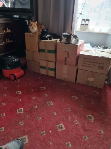 Photo of free Vhs tapes (Hay Mills B25) #1