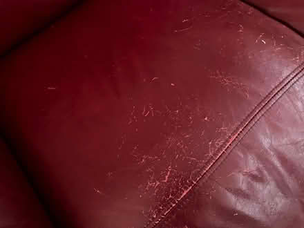 Photo of free Harvey Two seater leather sofa (Sidcup kent) #4
