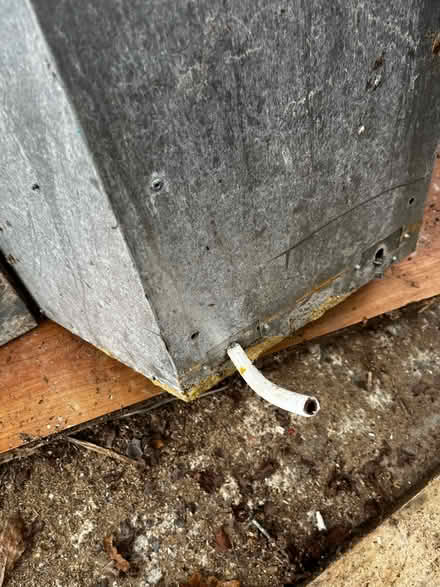 Photo of free Gas fire and surround (Crawley Down) #4