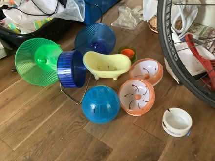 Photo of free Hamster items (Brampton S40) #1