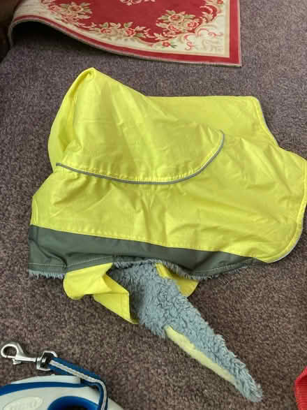 Photo of free Dog equipment (Chelmsford CM2) #2