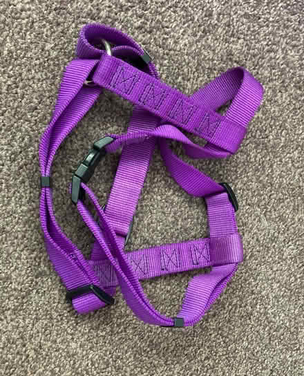 Photo of free Dog harnesses (Chelmsford CM2) #2