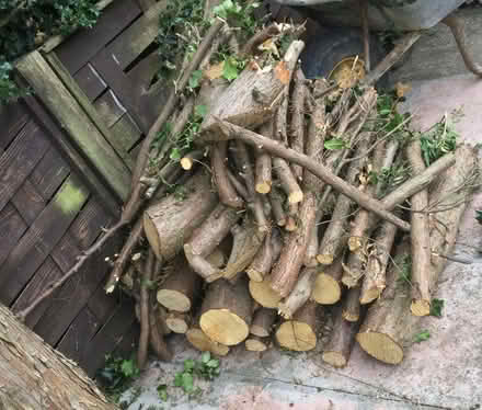 Photo of free Logs (Littleover - DE23)