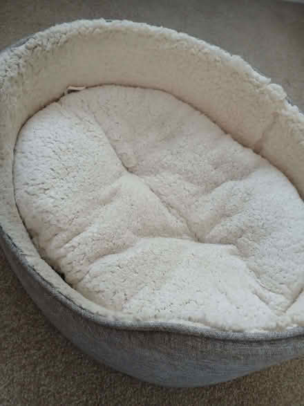 Photo of free Dog / Cat Bed 21 inches by 17 inches (Arlesey SG15) #1