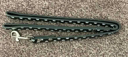 Photo of free Dog leads (Chelmsford CM2) #2