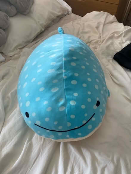 Photo of free Whale shark stuffed toy (En5 3da) #1