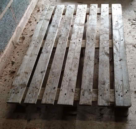 Photo of free Large Wooden pallet (Springhill, WV4) (Springhill WV4) #2