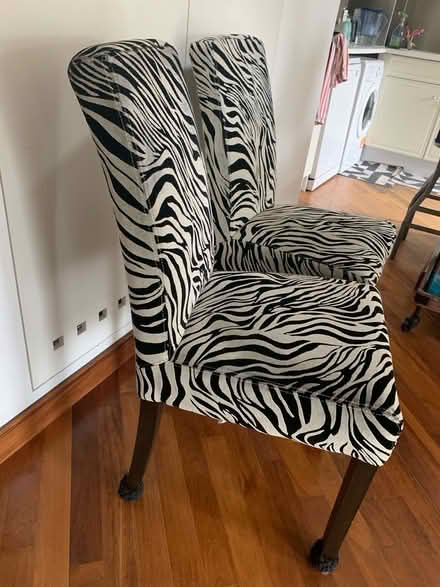 Photo of free Two zebra print dining chairs (Richmond TW10) #3
