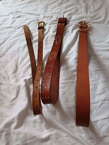 Photo of free Belts (Royal Leamington Spa CV32) #1