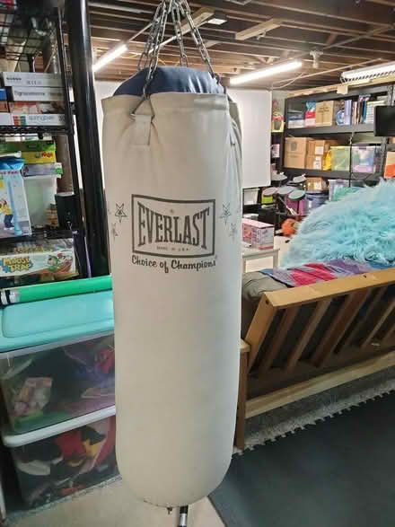 Photo of free Everlast Punching Bag (NE of downtown DG) #1