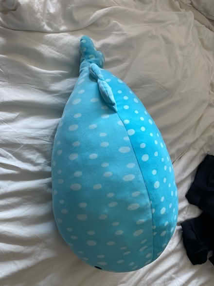 Photo of free Whale shark stuffed toy (En5 3da) #2