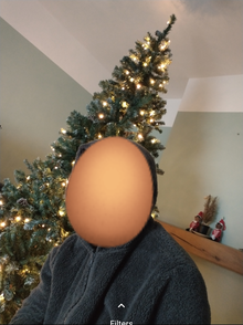 Photo of free Christmas tree - 8ft (Strood ME2) #1