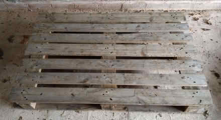 Photo of free Large Wooden pallet (Springhill, WV4) (Springhill WV4) #1