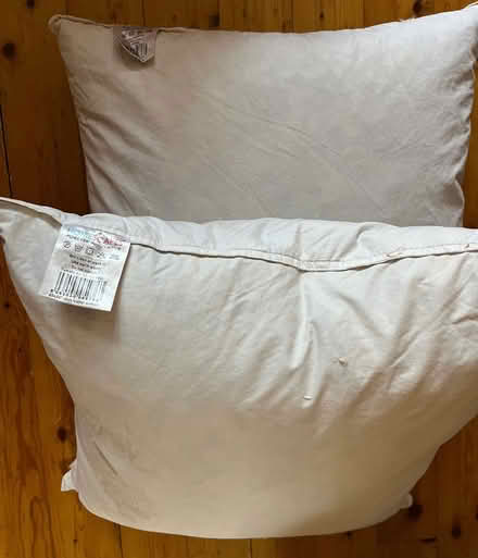 Photo of free 2 duck feather cushion pads, 45cm x 45cm (Nether Edge S7) #1