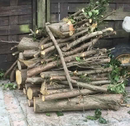 Photo of free Logs (Littleover - DE23)