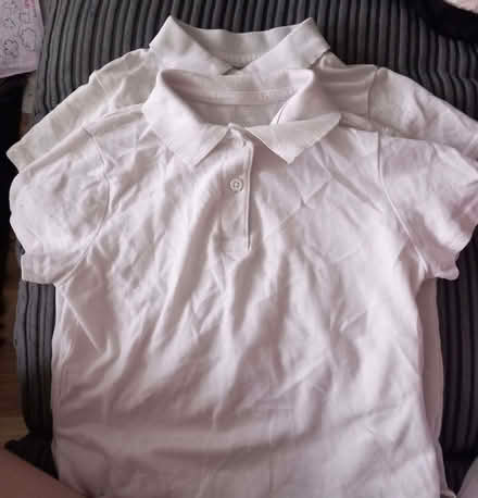 Photo of free 2x School polo tops 7-8 (Eastwood NG16) #1