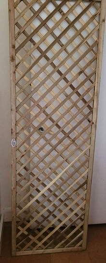 Photo of free New piece of trellis (Earl's Court) #1