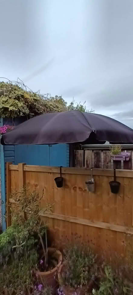 Photo of free Garden parasol (Chapel Allerton LS7) #2