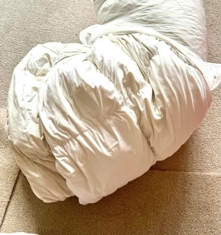 Photo of free Duvet quilt (Hall Green . B28) #1