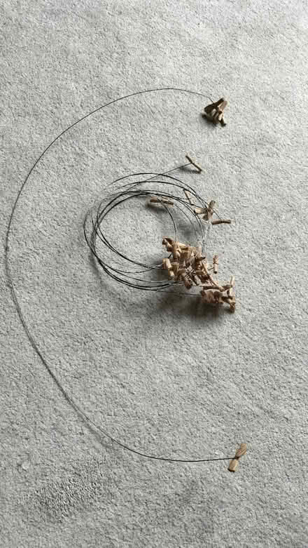 Photo of free Cat dancer toys (Kelham Island S3) #3