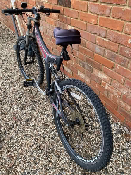 Photo of free Salvador bike (West Bergholt CO6) #3